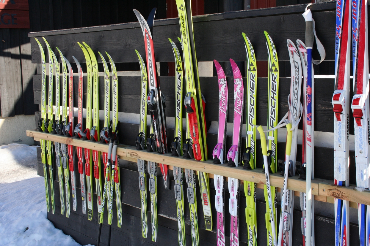 Skiholder vegg biltema