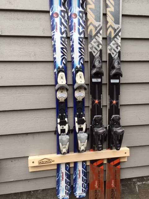 Skistativ for alpinski